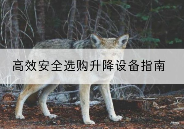 咸宁升降货梯厂家推荐-*安全选购升降设备指南
