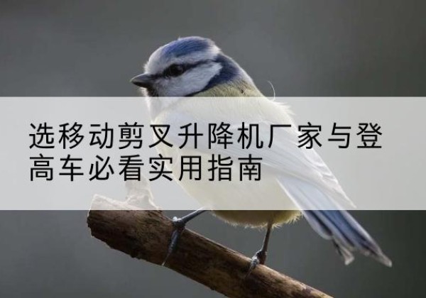 咸宁电动升降机厂家-选移动剪叉升降机厂家与登高车必看实用指南